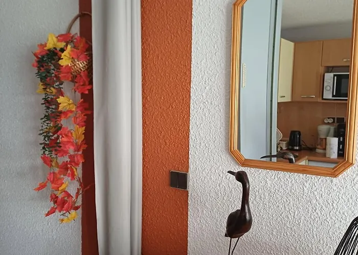 Appt T2 à à 100m Du Centre Appartement *